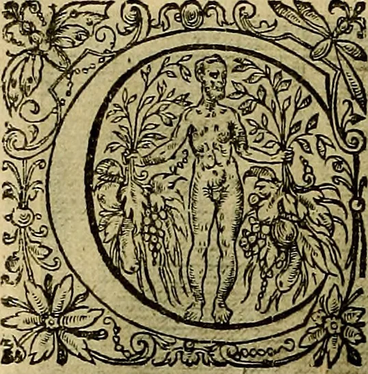 An illustration from La doctrine des moevrs, tiree de la philosophie des stoiques, representee en cent tableavx et expliqvee en cent discovrs pour l'instruction de la ieunesse, 1646, leaf 81