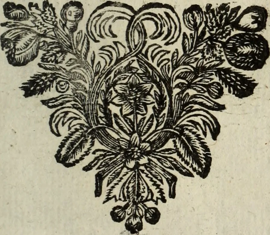 An illustration from La doctrine des murs, 1685, leaf 120