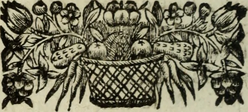 An illustration from La doctrine des murs, 1685, leaf 131
