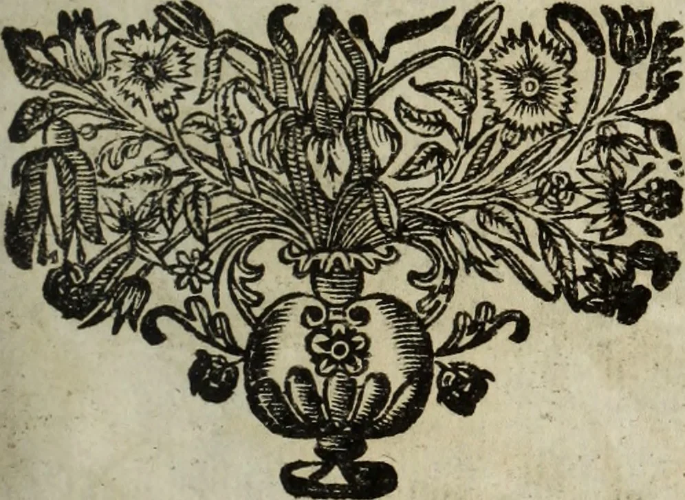 An illustration from La doctrine des murs, 1685, leaf 164