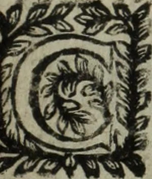 An illustration from La doctrine des murs, 1685, leaf 178