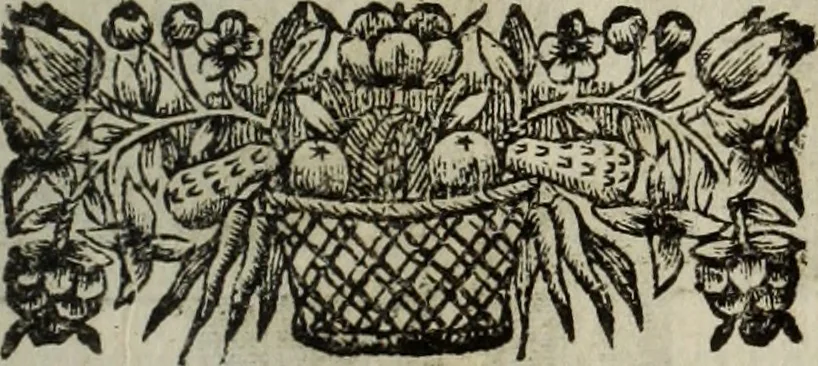 An illustration from La doctrine des murs, 1685, leaf 184