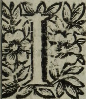 An illustration from La doctrine des murs, 1685, leaf 186