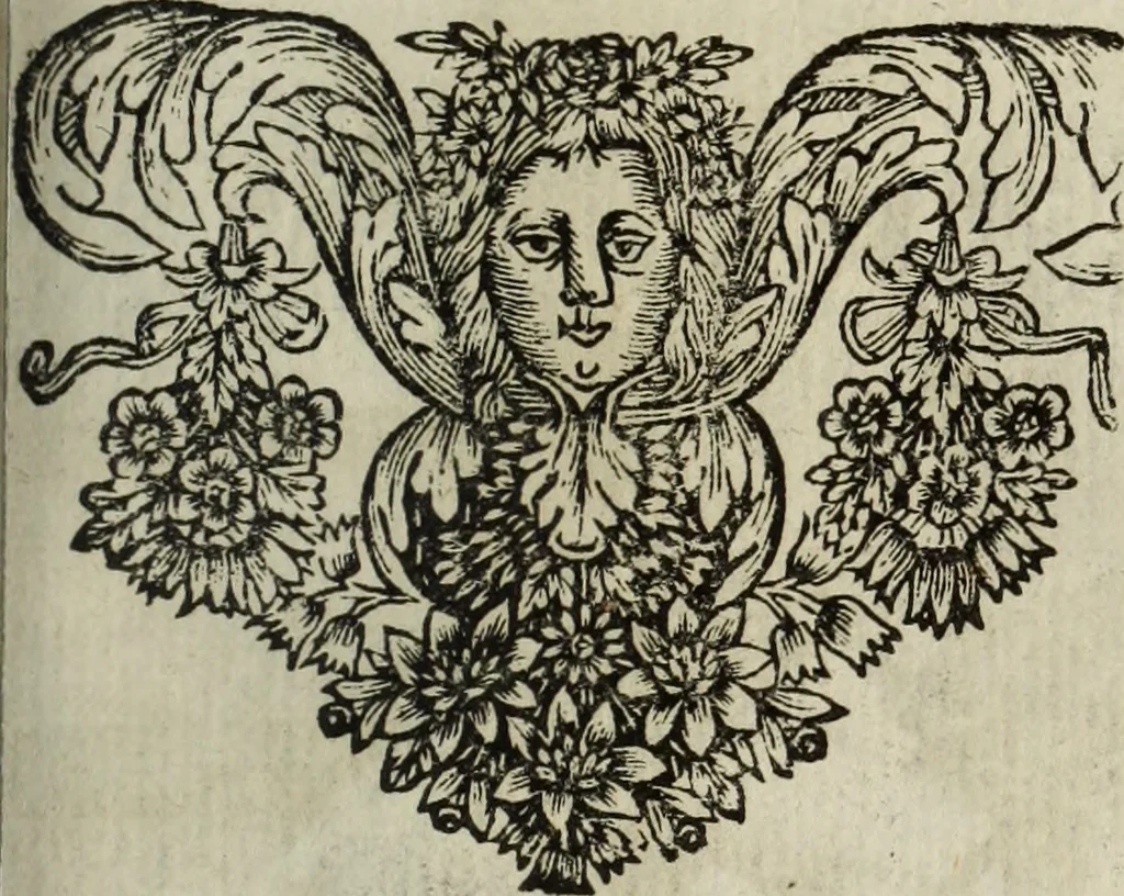 An illustration from La doctrine des murs, 1685, leaf 212