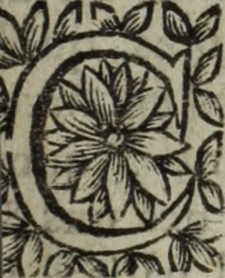 An illustration from La doctrine des murs, 1685, leaf 226