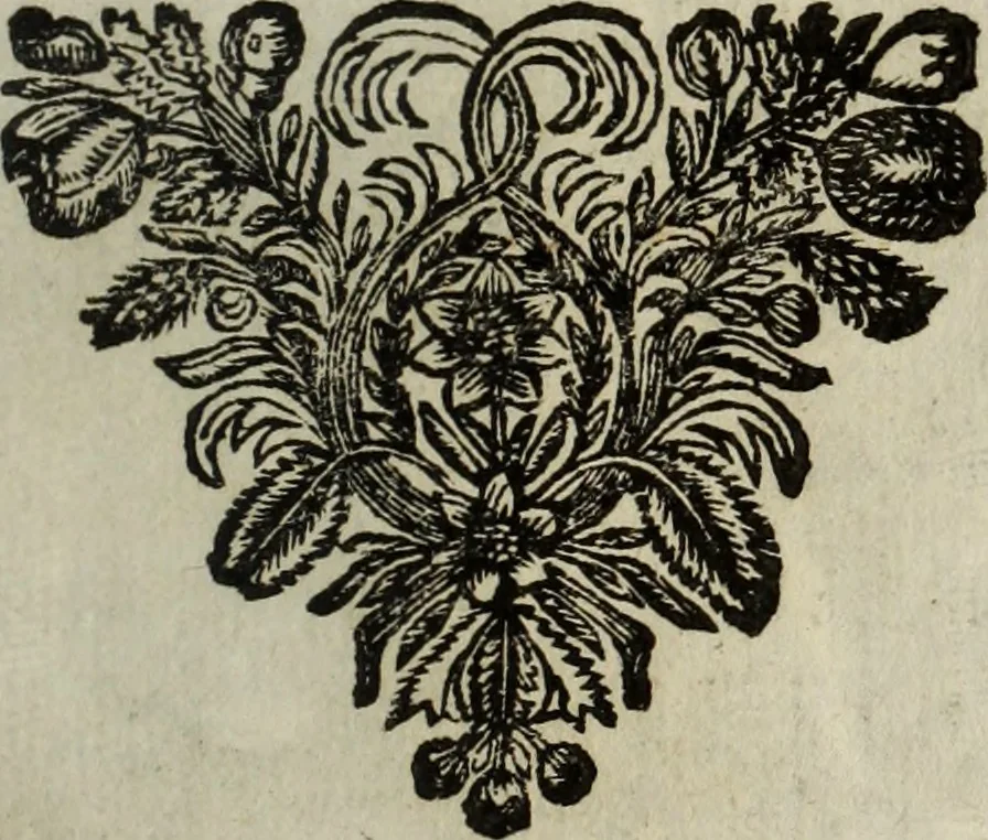 An illustration from La doctrine des murs, 1685, leaf 240