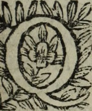 An illustration from La doctrine des murs, 1685, leaf 246