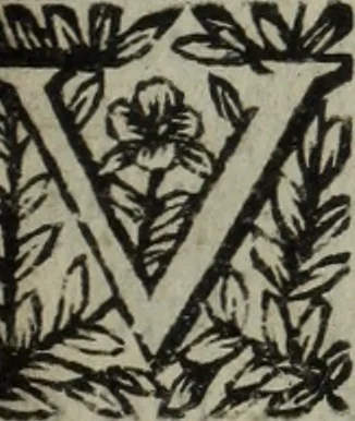 An illustration from La doctrine des murs, 1685, leaf 250