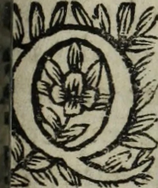 An illustration from La doctrine des murs, 1685, leaf 264