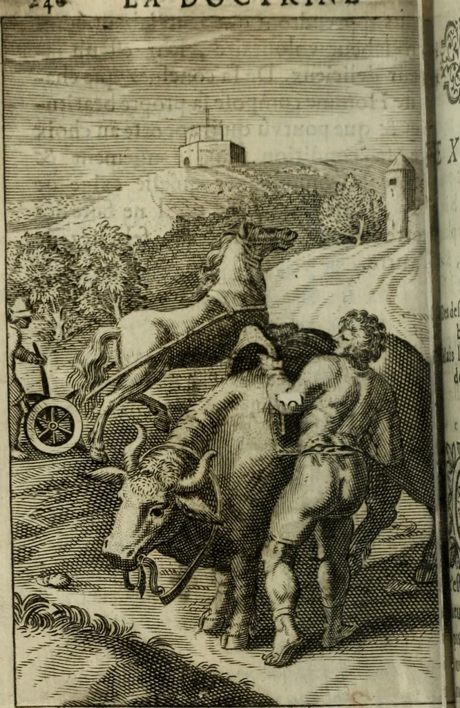 An illustration from La doctrine des murs, 1685, leaf 267