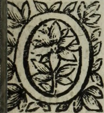 An illustration from La doctrine des murs, 1685, leaf 268