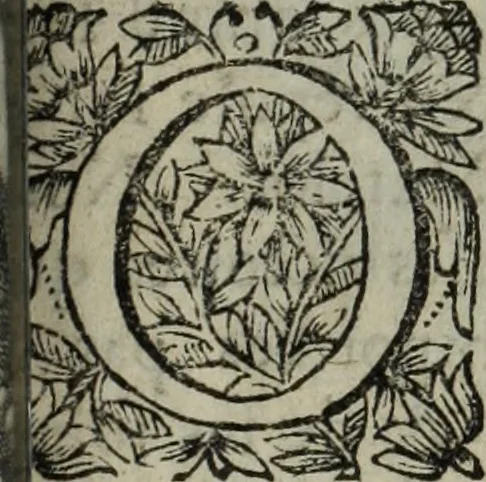 An illustration from La doctrine des murs, 1685, leaf 284