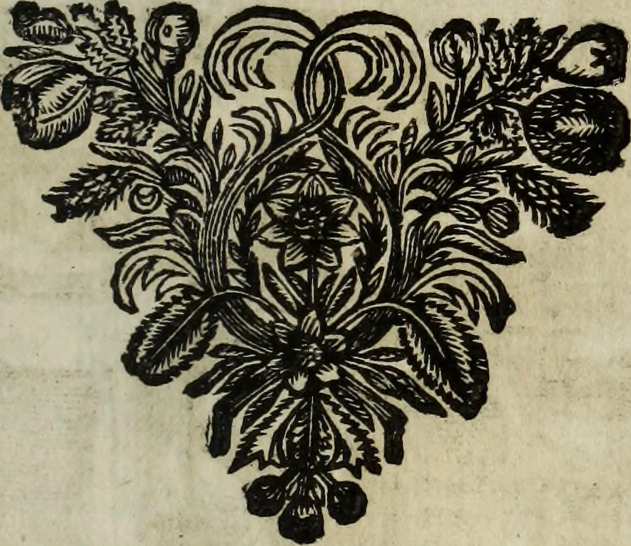 An illustration from La doctrine des murs, 1685, leaf 286