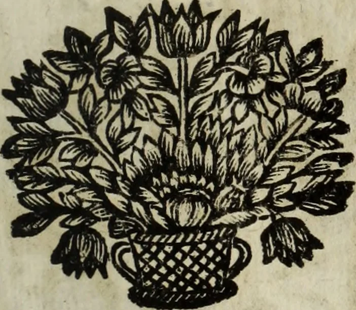 An illustration from La doctrine des murs, 1685, leaf 290