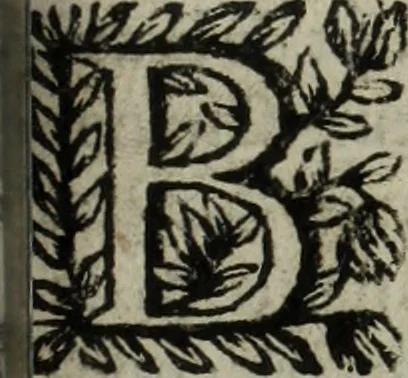 An illustration from La doctrine des murs, 1685, leaf 292