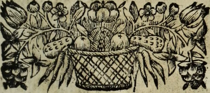 An illustration from La doctrine des murs, 1685, leaf 294