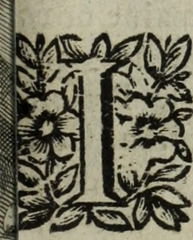 An illustration from La doctrine des murs, 1685, leaf 304