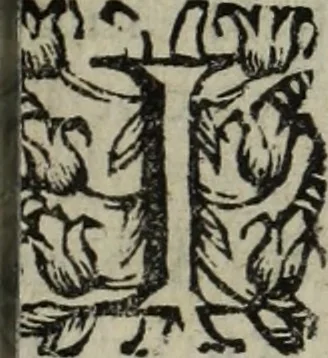 An illustration from La doctrine des murs, 1685, leaf 312