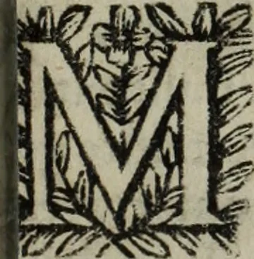 An illustration from La doctrine des murs, 1685, leaf 316