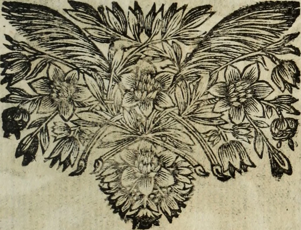 An illustration from La doctrine des murs, 1685, leaf 318