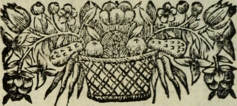An illustration from La doctrine des murs, 1685, leaf 337