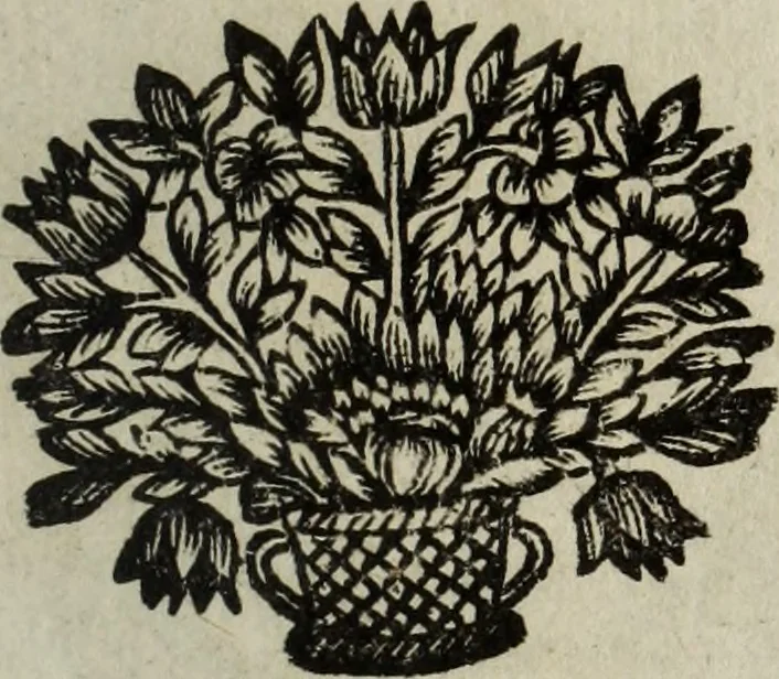 An illustration from La doctrine des murs, 1685, leaf 338