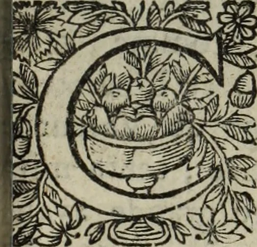 An illustration from La doctrine des murs, 1685, leaf 348