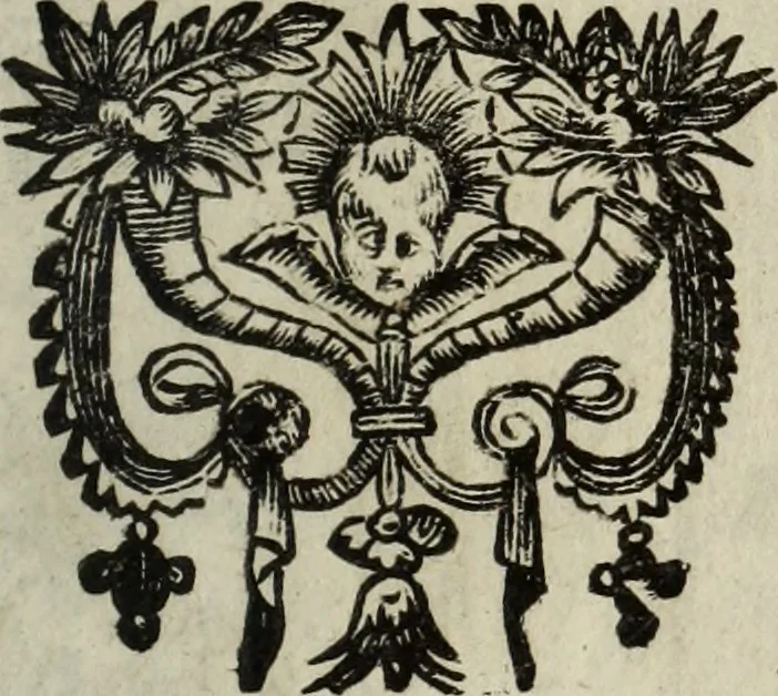 An illustration from La doctrine des murs, 1685, leaf 350
