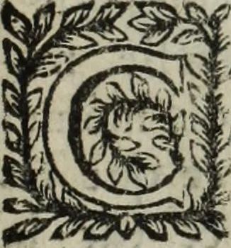 An illustration from La doctrine des murs, 1685, leaf 352