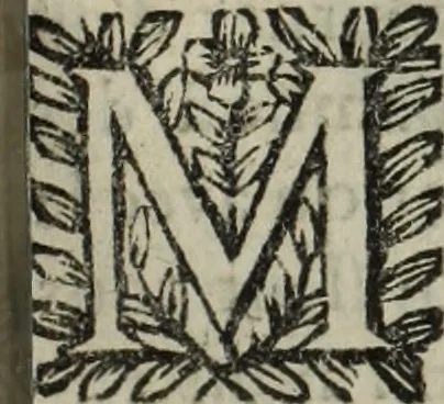 An illustration from La doctrine des murs, 1685, leaf 356