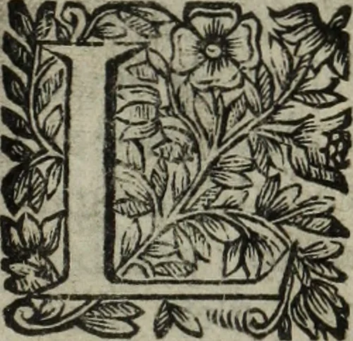An illustration from La doctrine des murs, 1685, leaf 368