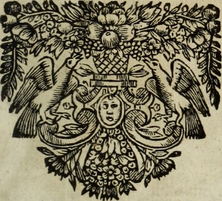 An illustration from La doctrine des murs, 1685, leaf 370