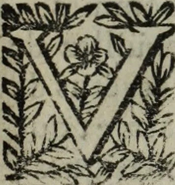 An illustration from La doctrine des murs, 1685, leaf 372