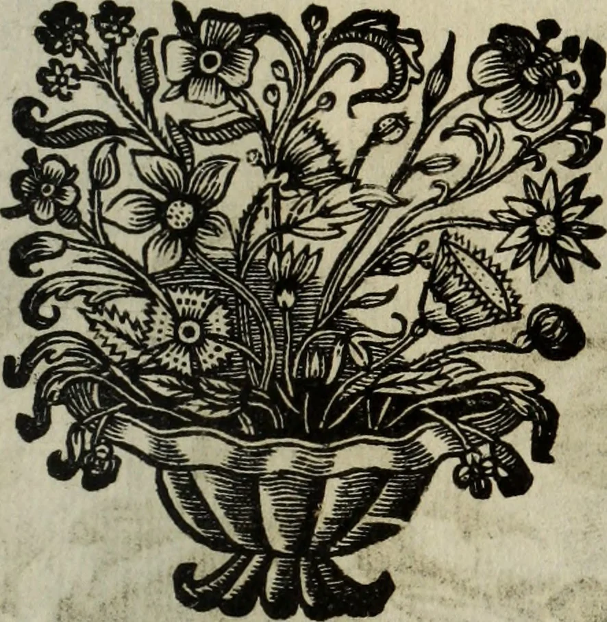 An illustration from La doctrine des murs, 1685, leaf 382