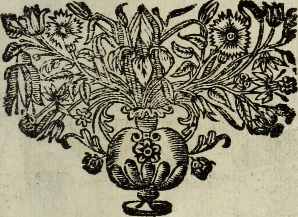 An illustration from La doctrine des murs, 1685, leaf 386