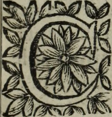 An illustration from La doctrine des murs, 1685, leaf 396