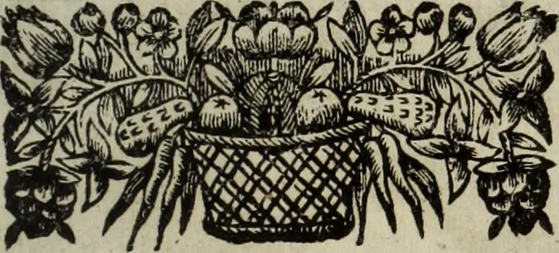 An illustration from La doctrine des murs, 1685, leaf 402