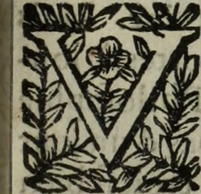 An illustration from La doctrine des murs, 1685, leaf 404