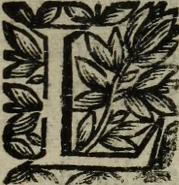 An illustration from La doctrine des murs, 1685, leaf 408