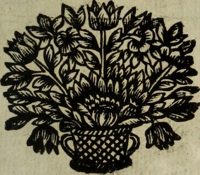 An illustration from La doctrine des murs, 1685, leaf 410
