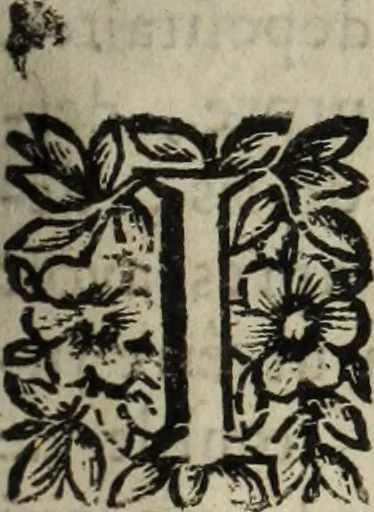An illustration from La doctrine des murs, 1685, leaf 424