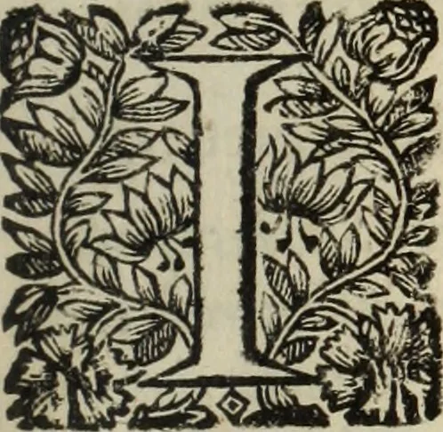 An illustration from La doctrine des murs, 1685, leaf 6