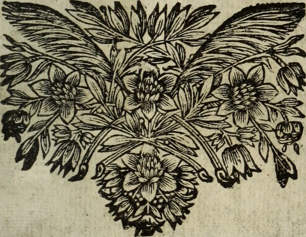 An illustration from La doctrine des murs, 1685, leaf 64