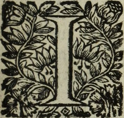An illustration from La doctrine des murs, 1685, leaf 66