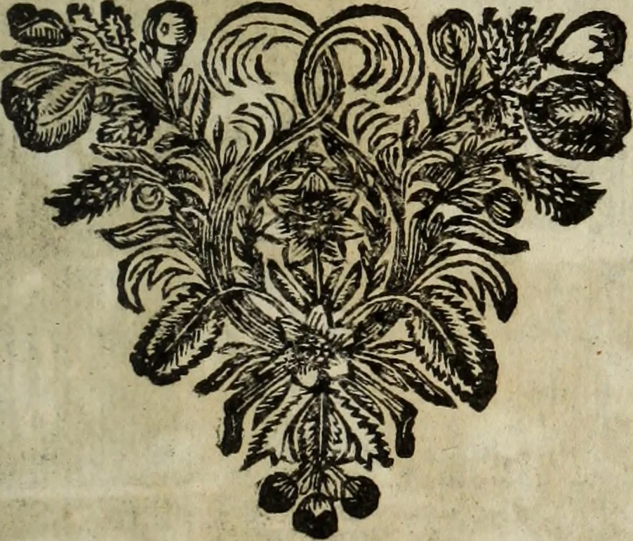 An illustration from La doctrine des murs, 1685, leaf 84