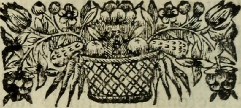An illustration from La doctrine des murs, 1685, leaf 91