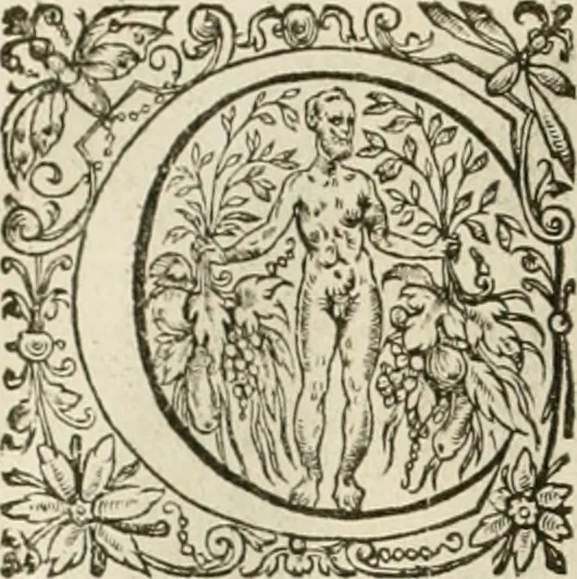 An illustration from La doctrine des murs, tiree de la philosophie des stoiques, representee en cent tableaux et expliquee en cent discours pour l'instruction de la ieunesse, 1646, leaf 113
