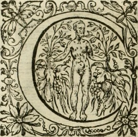 An illustration from La doctrine des murs, tiree de la philosophie des stoiques, representee en cent tableaux et expliquee en cent discours pour l'instruction de la ieunesse, 1646, leaf 119