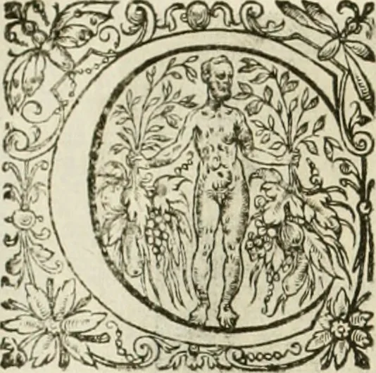 An illustration from La doctrine des murs, tiree de la philosophie des stoiques, representee en cent tableaux et expliquee en cent discours pour l'instruction de la ieunesse, 1646, leaf 139