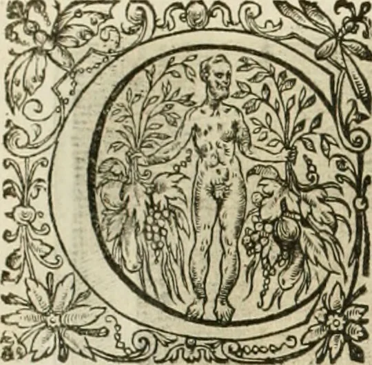An illustration from La doctrine des murs, tiree de la philosophie des stoiques, representee en cent tableaux et expliquee en cent discours pour l'instruction de la ieunesse, 1646, leaf 181